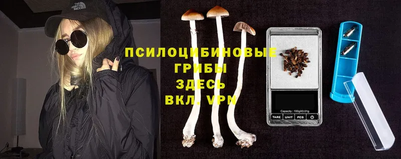 Галлюциногенные грибы MAGIC MUSHROOMS  Пушкино 